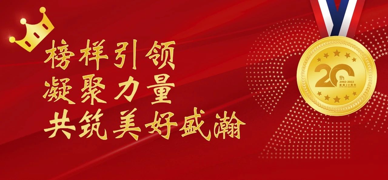 盛瀚之星 | 榜樣引領 凝聚力量，共筑美好盛瀚