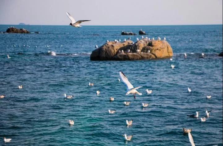 海水中陰陽離子的檢測 海水中陰陽離子的檢測